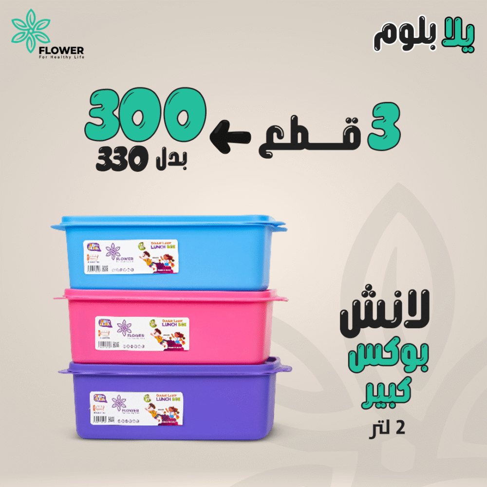 Double Layer Lunch Box (2 Litre) - Image 10