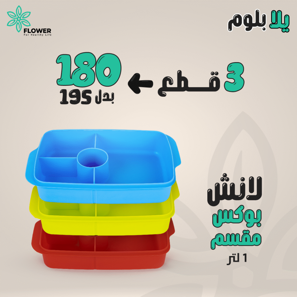 Divided Lunch Box (1 Litre) - Image 7