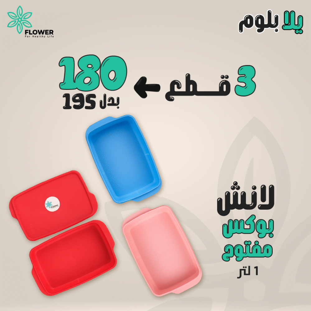 Undivided Lunch Box (1 Litre) - Image 7